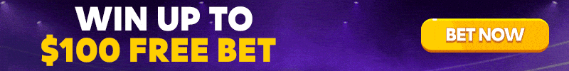 ROOBET sb en 800x100